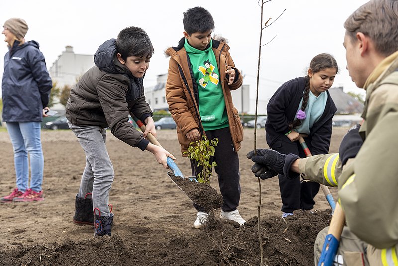 Schulevents - Wald Aktiv 2024 Kinder pflanzen einen Baum